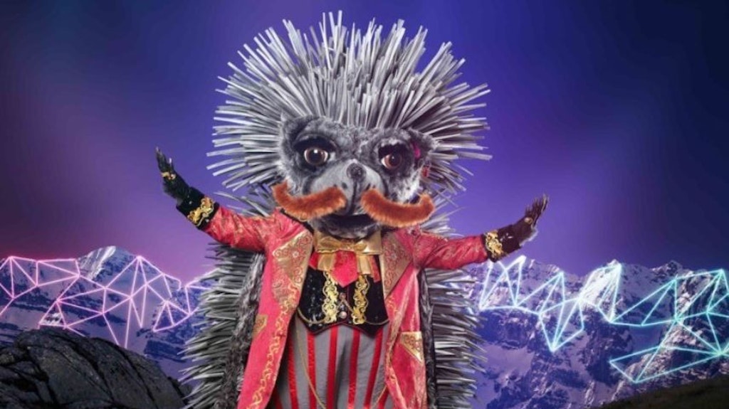 Der Igel.