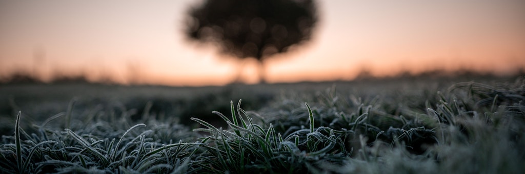Am Freitag meldet sich der Frost zurück. 