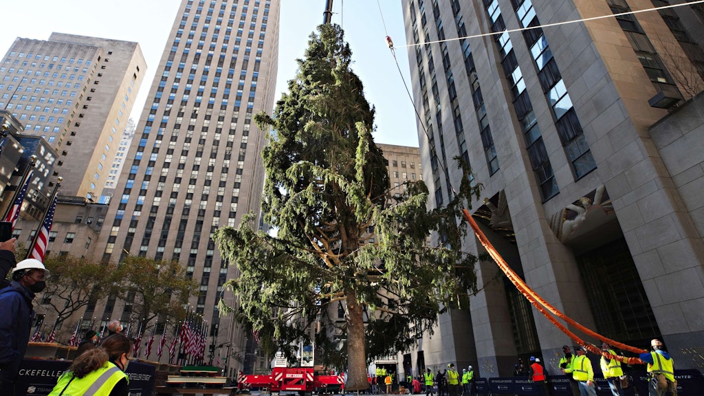Der Weihnachtsbaum am Rockefeller Center wurde am Wochenende aufgestellt.
