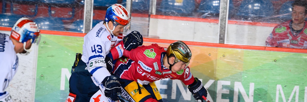 Die Eisbären und die Schwenninger Wild Wings treten in der Hauptrunde der neuen Saison in unterschiedlichen Gruppen an.