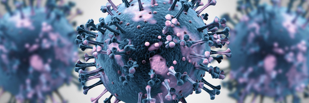 Das Coronavirus