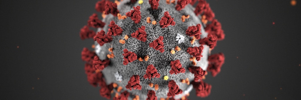 Das Coronavirus unter dem Mikroskop. 