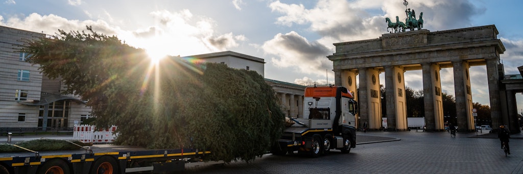 Der Weihnachtsbaum, der vor dem Brandenburger Tor auf dem Pariser Platz aufgestellt wird, kommt am Montagnachmittag mit einem Schwertransport aus Thüringen.