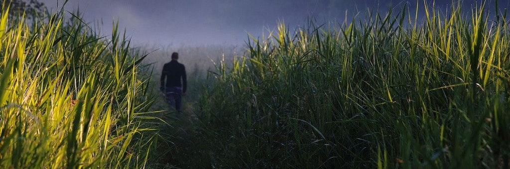 Morgenspaziergang.
