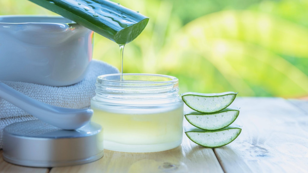 Aloe vera kann man ganz leicht selber anbauen und ernten.