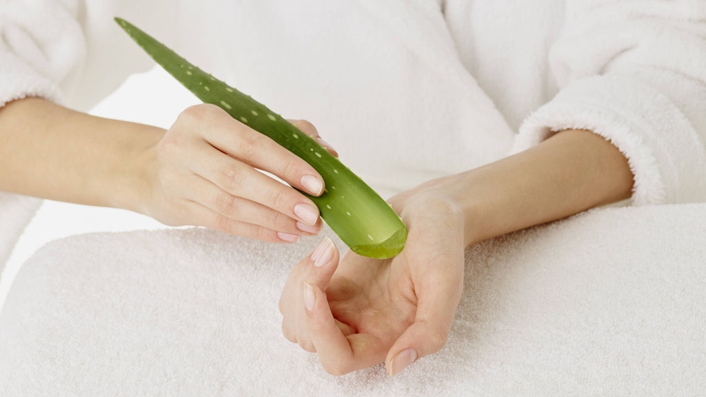 Aloe vera wird schon seit jeher für ihre heilsamen und pflegenden Inhaltsstoffe geschätzt.