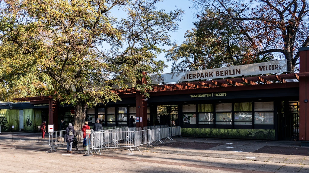 Der Tierpark Berlin: Im zweiten Lockdown zeigen sich auch dort wenige Besucher. Dabei lohnt sich auch in schweren Zeiten ein Besuch im Tierpark und Zoo.