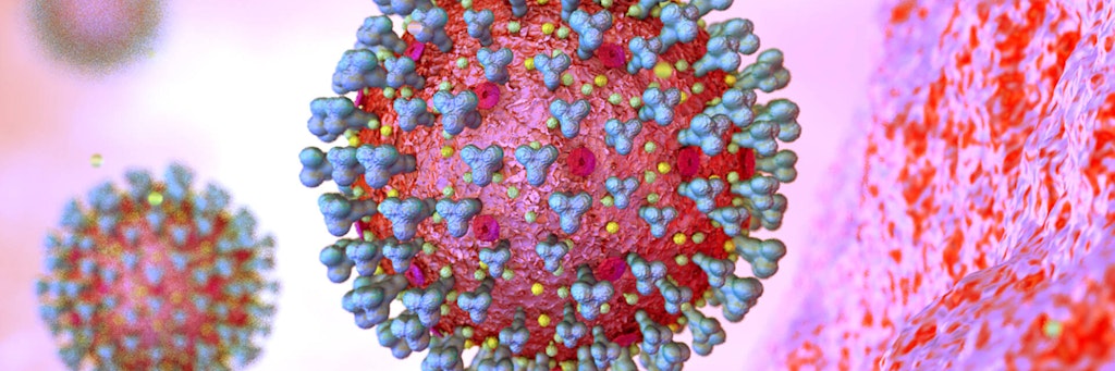 Das Coronavirus. 