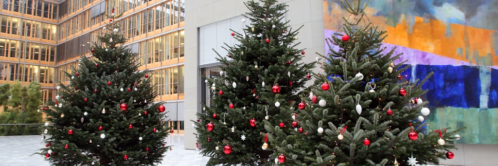 Weihnachtsbäume haben sie im Atrium des Hauses der Deutschen Wirtschaft zwischen Spree und Breite Straße schon aufgestellt, in dem Siegfried Russwurm als neuer BDI-Chef künftig seinen Sitz haben wird. Von hier aus setzen sich neben dem BDI der Deutsche Industrie- und Handelskammertag (DIHK) und die Bundesvereinigung der Deutschen Arbeitgeberverbände (BDA) für Wirtschaftsinteressen ein.