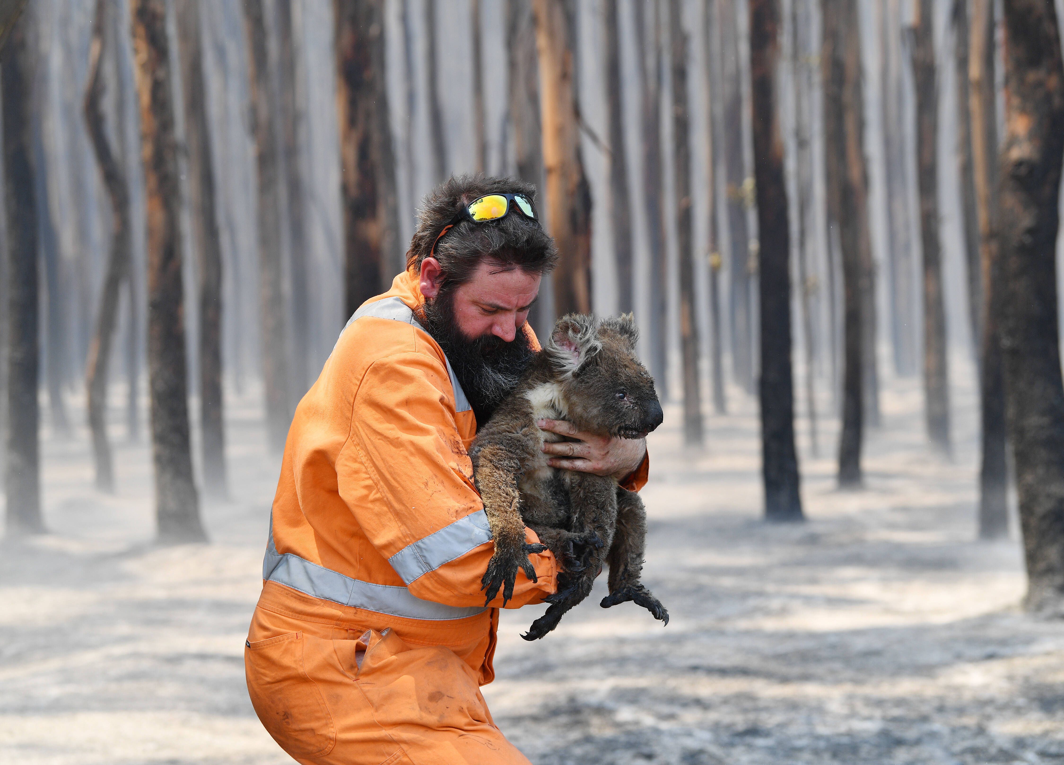 Nach Hitzewelle: Mehr Als 50 Waldbrände Wüten In Australien