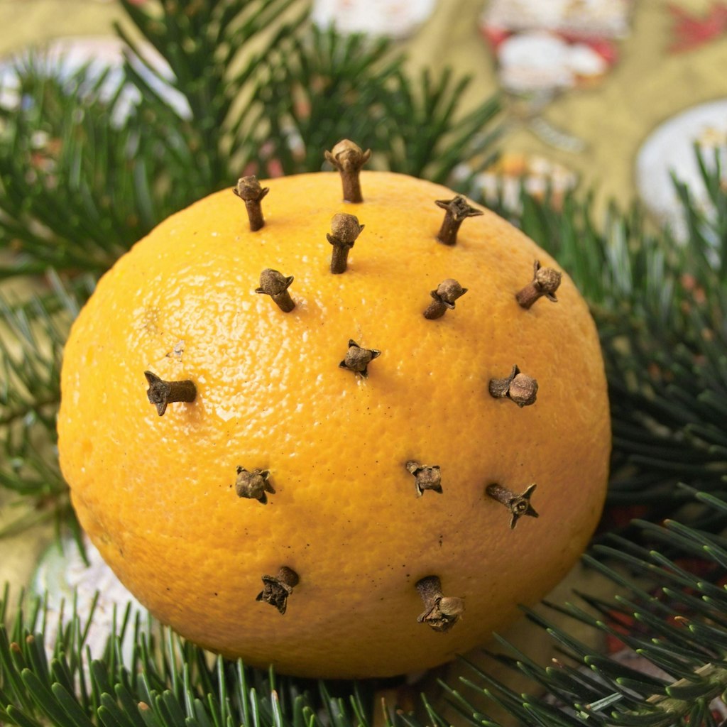 Duftorangen verbreiten ein weihnachtliches Aroma.