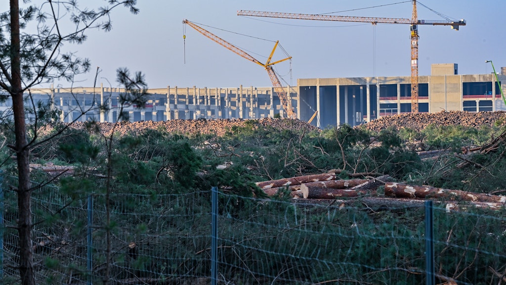 Gefällte Bäume liegen auf der Baustelle der Tesla Gigafactory im Brandenburgischen Grünheide.