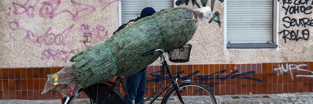 Schnell eine Festtanne holen: Dabei sind die Weihnachtsbaummärkte von der Lockdown-Schließung nicht betroffen.