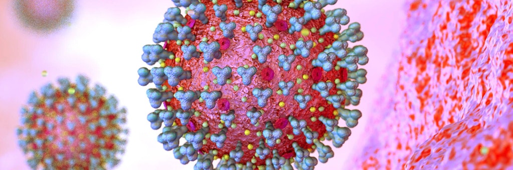 Das Coronavirus in einer mikroskopischen Ansicht. 