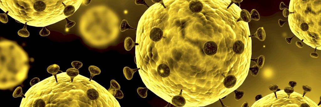Das Corona-Virus.