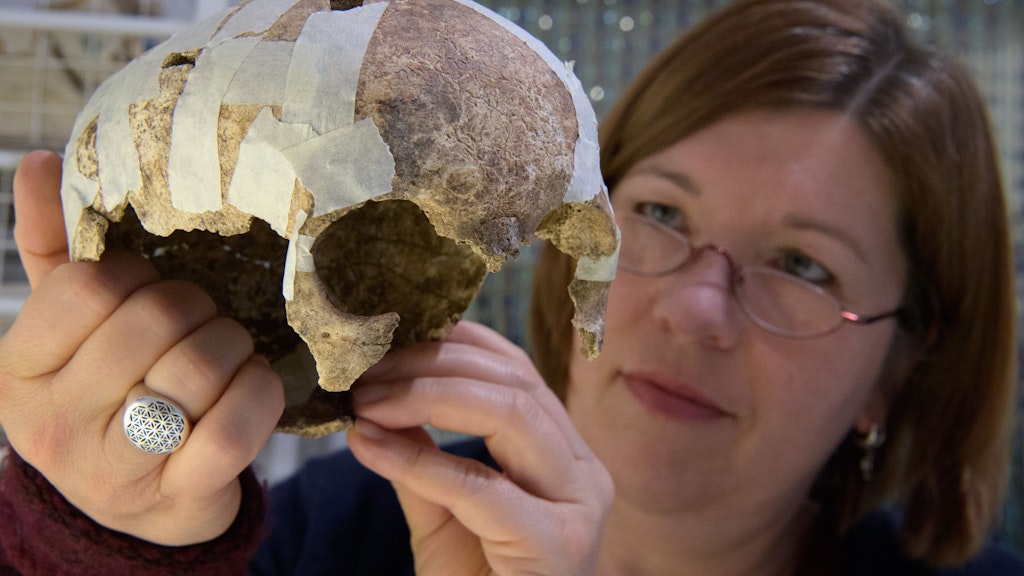 Die Anthroplogin Bettina Jungklaus mit dem Schädel der Frau.