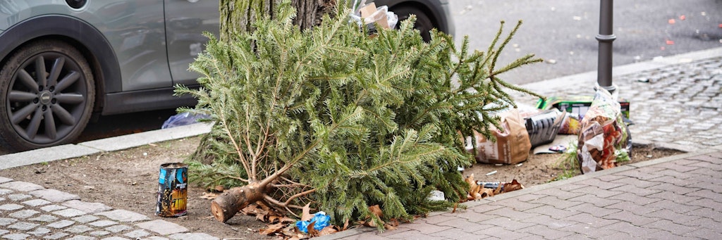 Die meisten Bäume landen erst an den Tagen nach Silvester an der Straße.