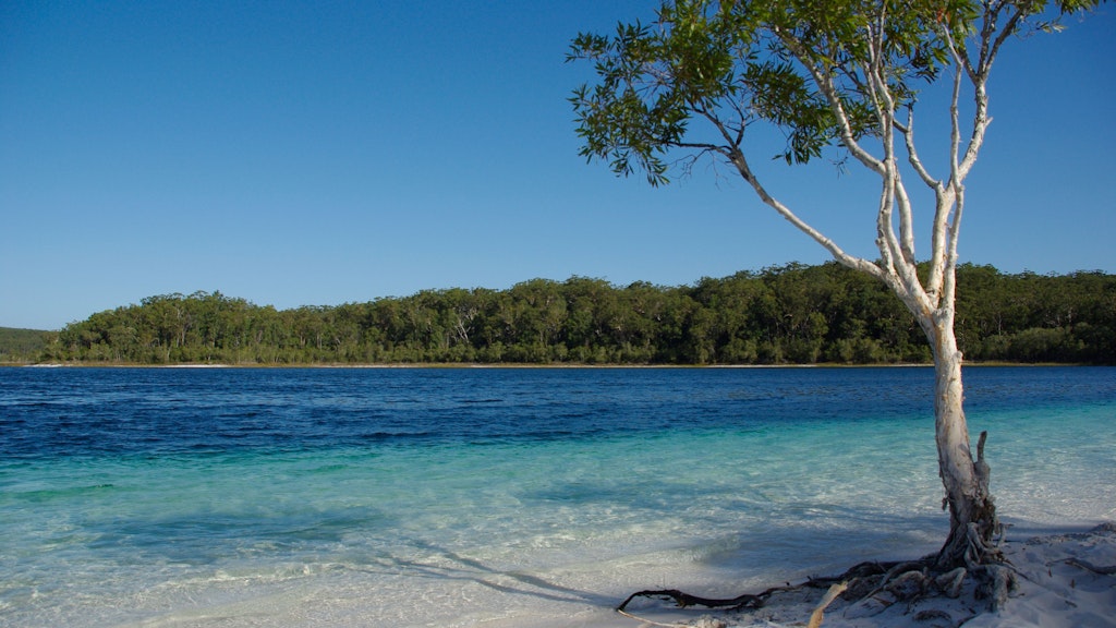 Der Lake McKenzie ist das Postkartenmotiv von Fraser Island - vollkommen zu Recht.