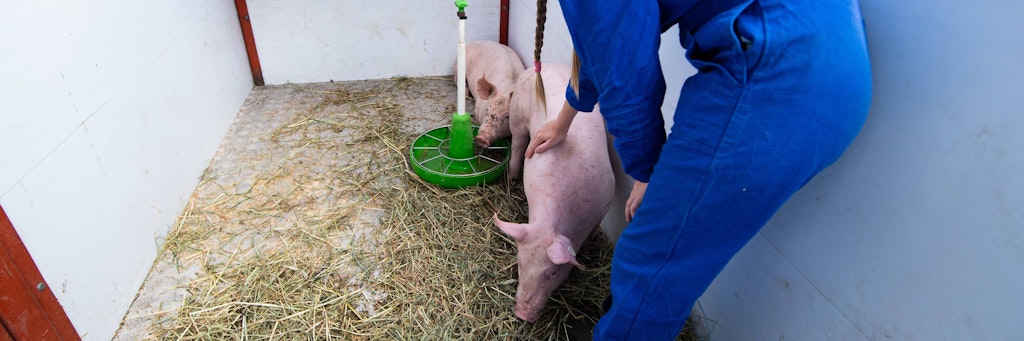 Demonstration von Tierschützern und Bauern am Tönnies Hauptwerk