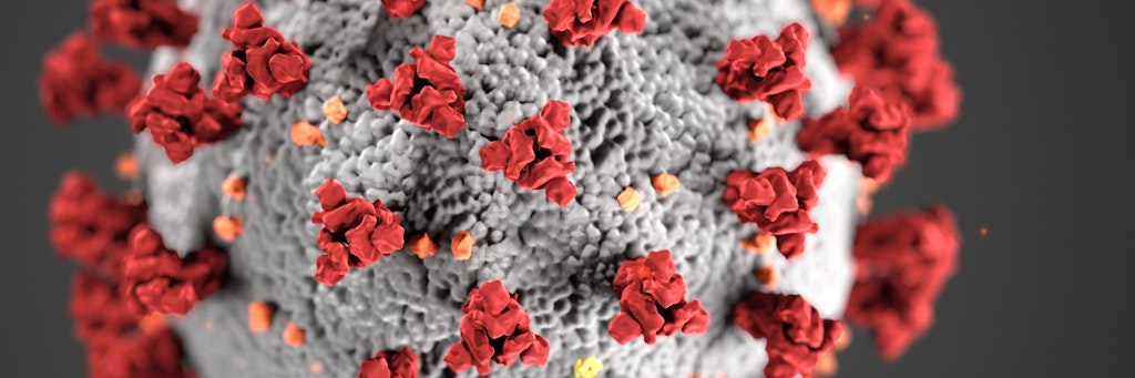 Eine Illustration des Corona-Virus der Centers for Disease Control and Prevention in den USA. 