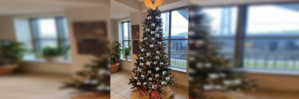 An dem Tannenbaum hängen Fotos von festgenommenen Menschen.