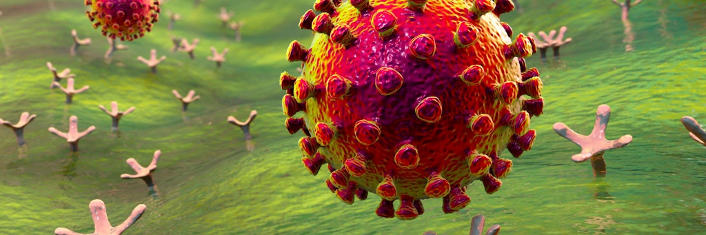 Coronavirus docken an einer menschlichen Zelle an.