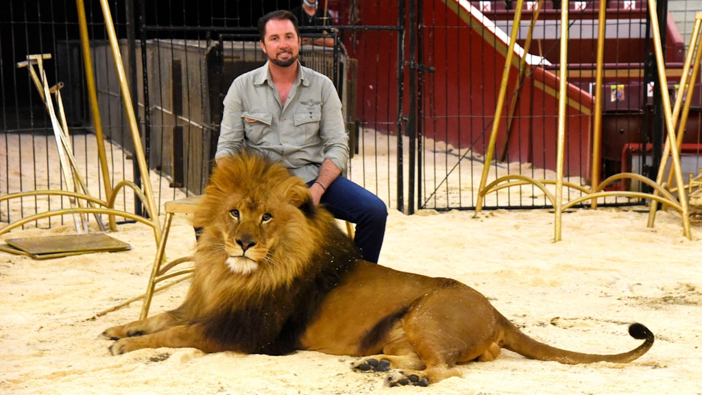 Martin Lacey jr. vom Circus Krone mit einem Löwen.