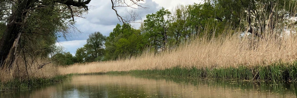 Die Alte Oder in Ostbrandenburg. Viele Urlauber suchen noch nach einem schönen Urlaubsziel.