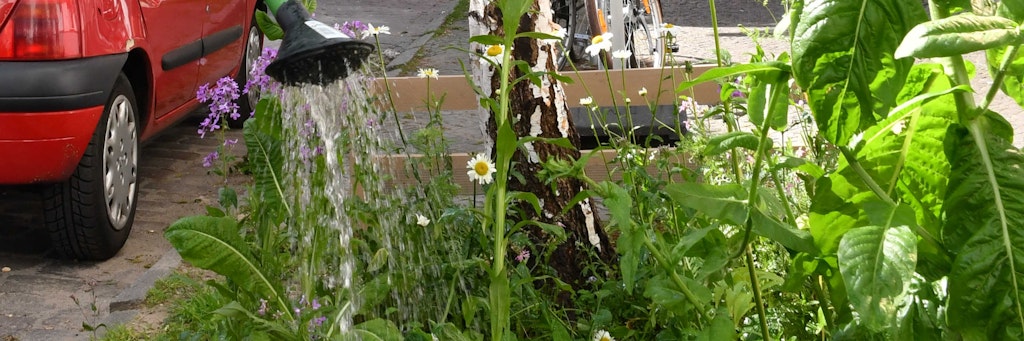 Lino Maisant gießt die Sandbirke und die mit Wildblumen bepflanzte Baumscheibe vor seinem Wohnhaus in der Neuköllner Wipperstraße. 