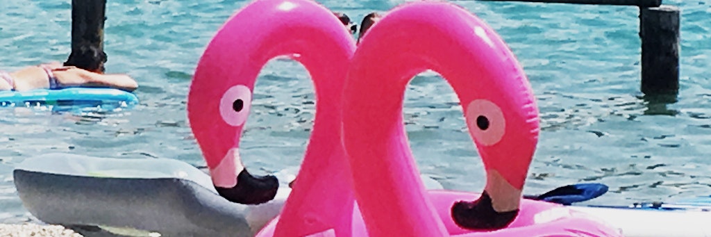 Mit einem Gummi-Flamingo brachte sich der Mann in Lebensgefahr.