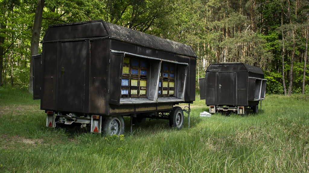Alte Bauanhänger aus der DDR, umgebaut zu Bienenwagen. 