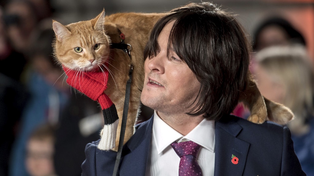 Der britische Schriftsteller und Musiker James Bowen und seine Katze Bob bei der Weltpremiere von "A Street Cat Named Bob". (Archiv)