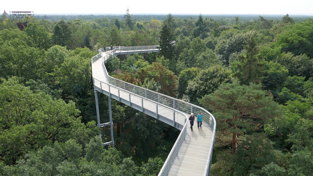 Beelitz in Brandenburg; auf dem Gelände der ehemaligen Beelitzer Heilstätten existiert ein Baumkronenpfad.<br>