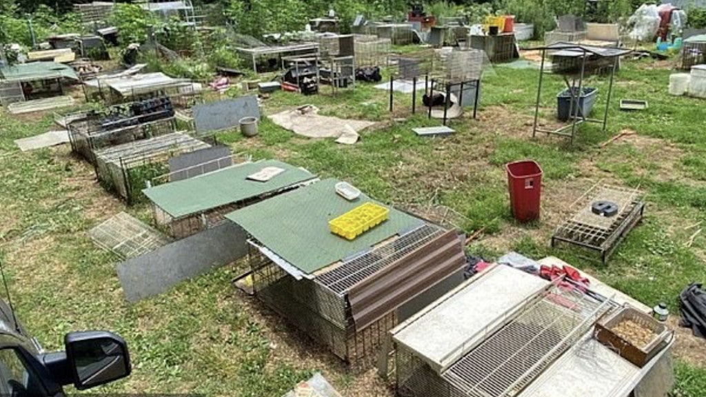 600 Tiere vegetierten in den Käfigen dahin.