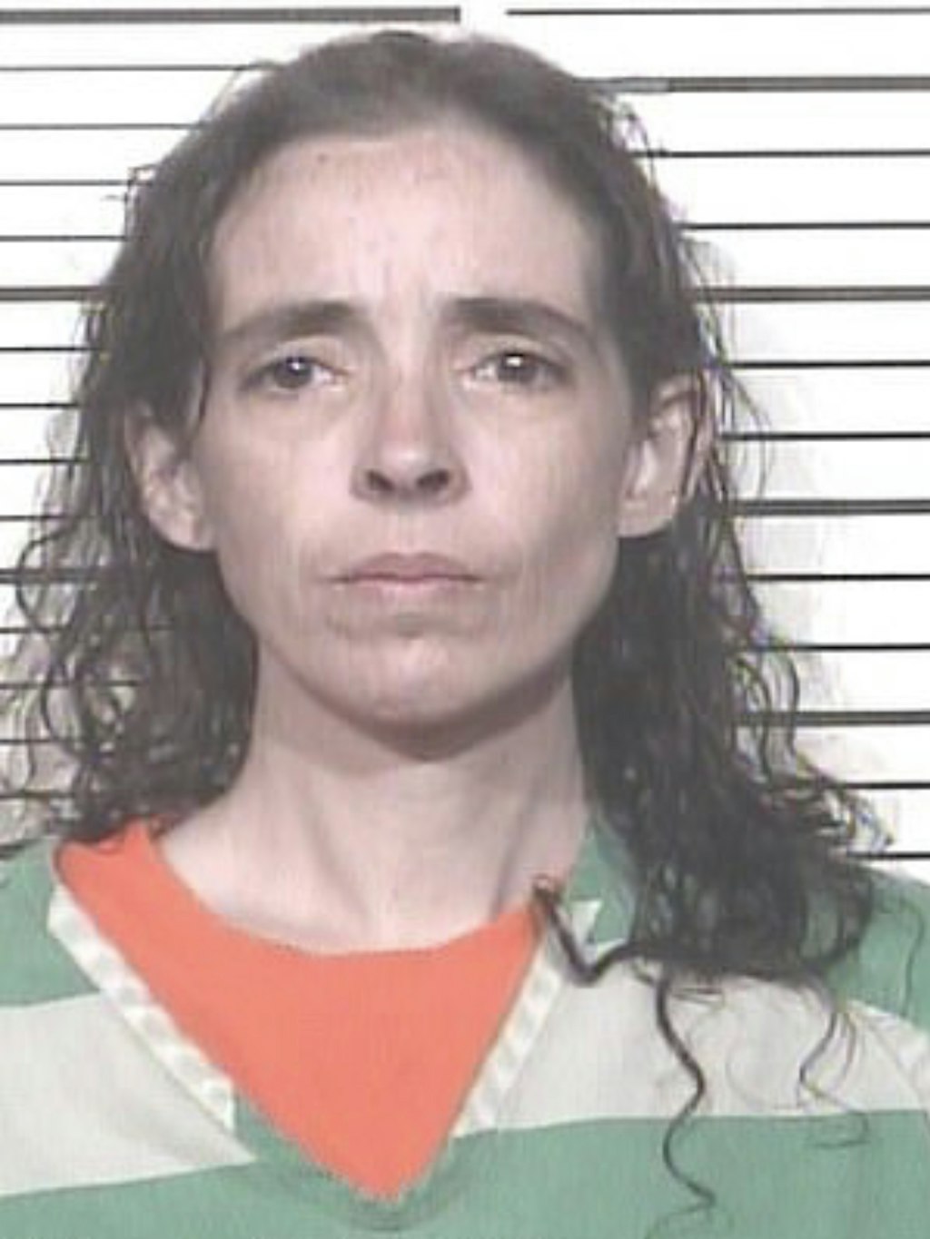 Heather Scarbrough wurde verhaftet.