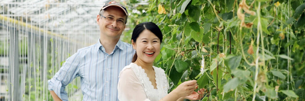Rongrong und ihr Mann Ralf Szydlewski züchten exotische Gemüse und Kräuter, ihr Start-up heißt „Fresh Tasia“.
