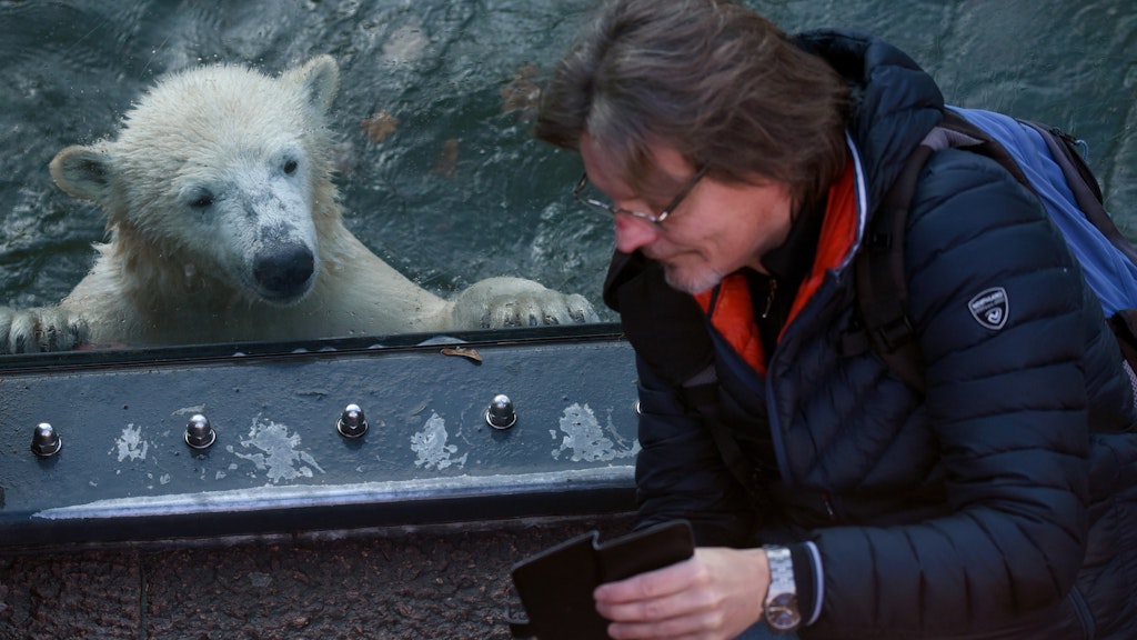 Nur eine Scheibe trennt sie:Tierpark-Star Hertha und KURIER-Reporter Norbert Koch-Klaucke.<br><br><br>
