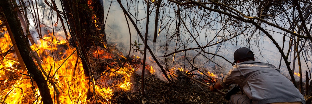 Ein Feuerwehrmann versucht in Brasilien einen Waldbrand zu löschen.