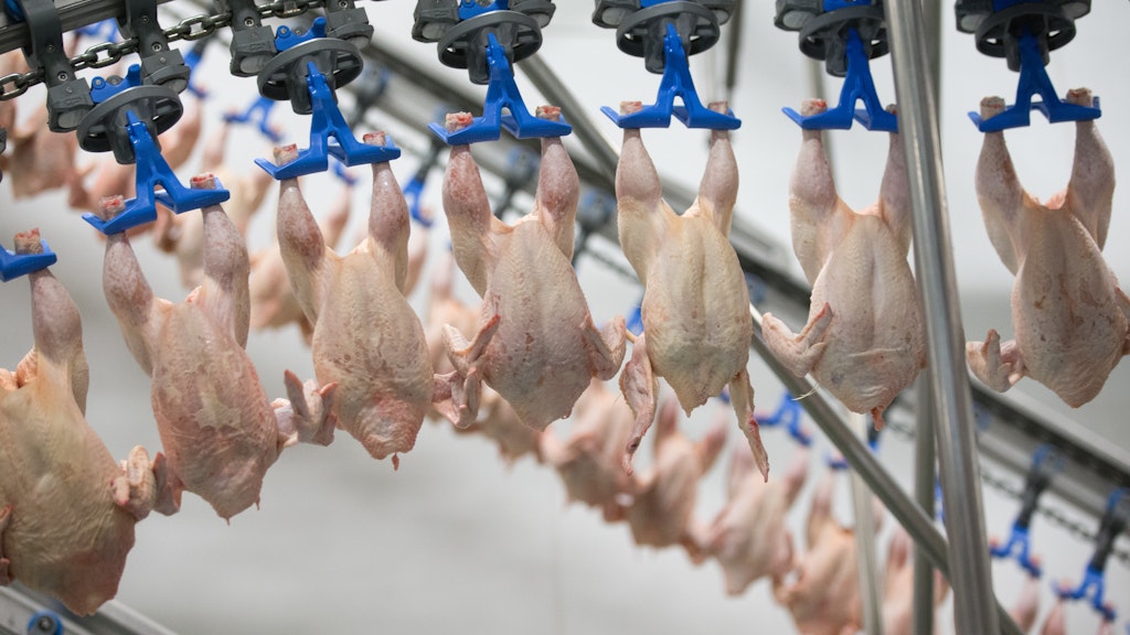 In der Firma Oldenburger Geflügelspezialitäten (OGS) werden Hühner für die Marke Wiesenhof geschlachtet.