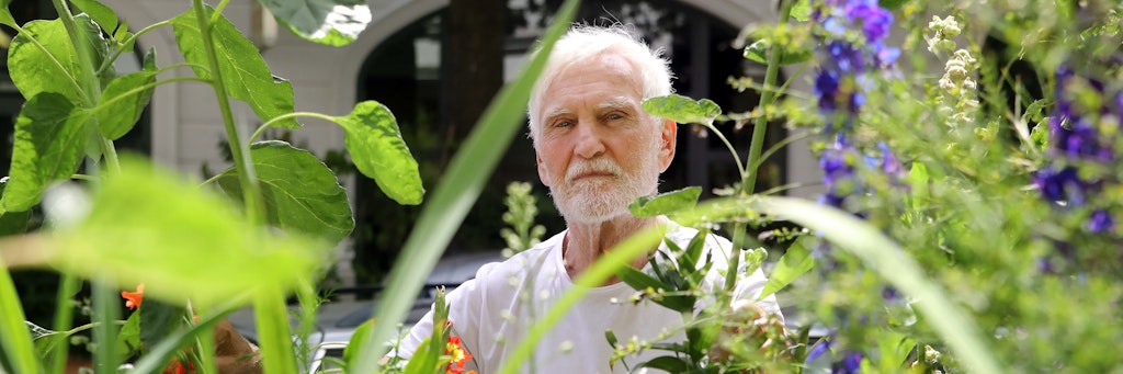 Horst Rieger (78) ist enttäuscht: Er machte den Gehweg vor seinem Haus zu einem Blüten-Paradies, doch nun entfernten Mitarbeiter des Bezirkes die Blumen. Nur ein Beet vor dem Haus darf noch blühen.