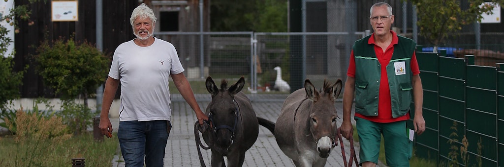 Der Abschied naht: Der neue Esel-Besitzer Bernhard Kindt (l.) mit Alfred und August und Klaus Hain, der sich um den Bauernhof des Tierheims kümmert.