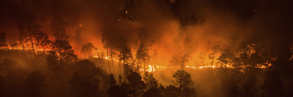 Ein Waldbrand wütet in der Region Krasnojarsk.