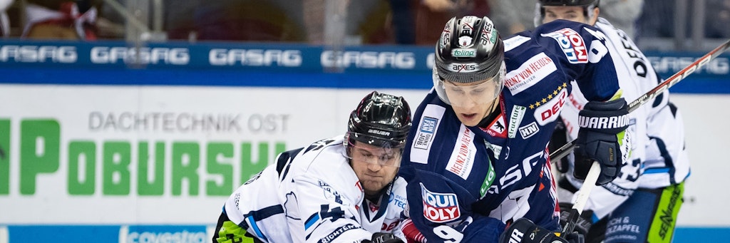 Eisbär Leo Pföderl & Co. müssen sich wohl gedulden, bis es wieder losgeht.