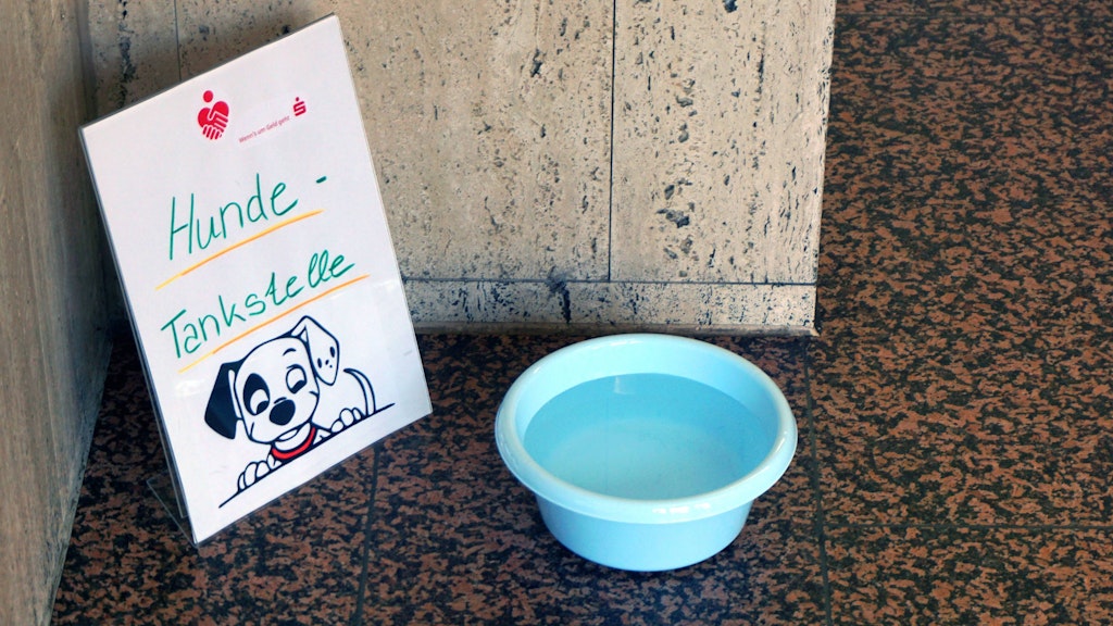 Regelmäßiges Trinken für Hunde ist gerade bei Hitze wichtig. In der Öffentlichkeit ausgestellte Näpfe wie hier in Essen können helfen.