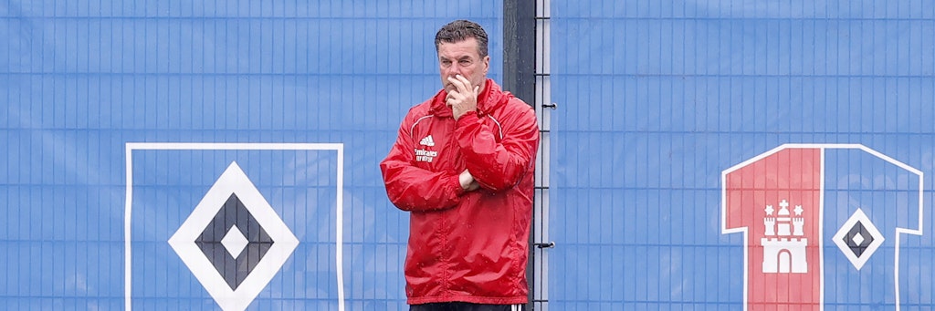 Der HSV und Dieter Hecking stehen nach dem verpassten Erstliga-Aufstieg vor der Trennung.