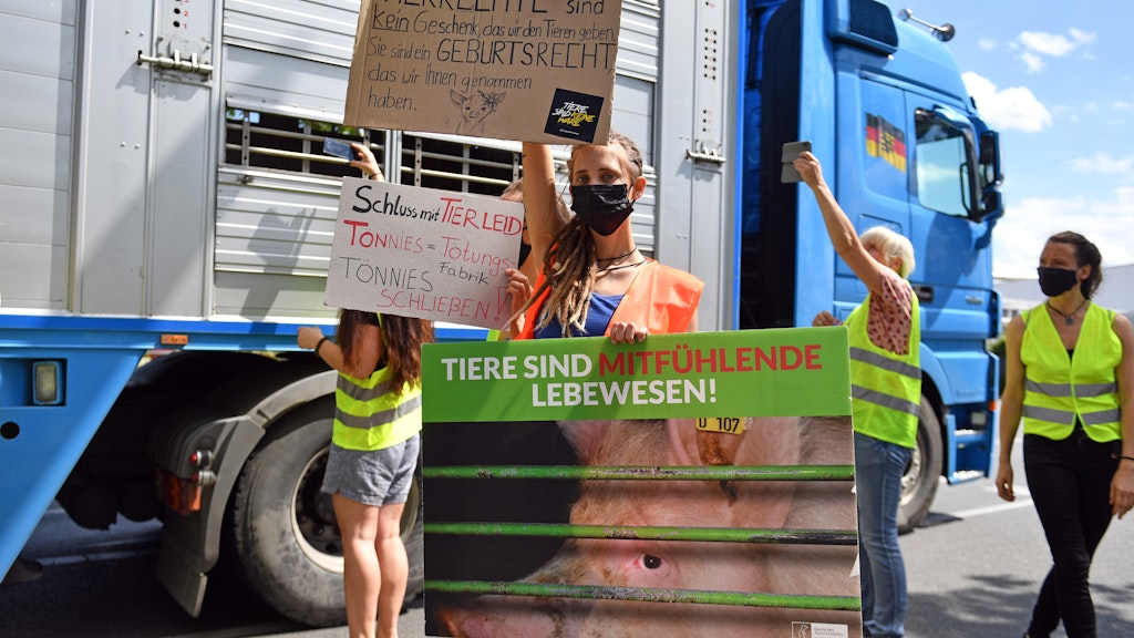 Die Fleischindustrie steht am Pranger: Aktivistinnen und Aktivisten des Deutschen Tierschutzbüros halten vor dem Tönnies-Schlachthof in Weißenfels einen Tiertransport mit Schweinen an.