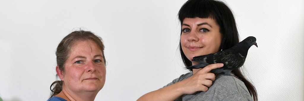 Jana K. (links) und Sarah M. kümmern sich ehrenamtlich um kranke Stadt- und Ringeltauben. Sie möchten dabei ihre Identität schützen.