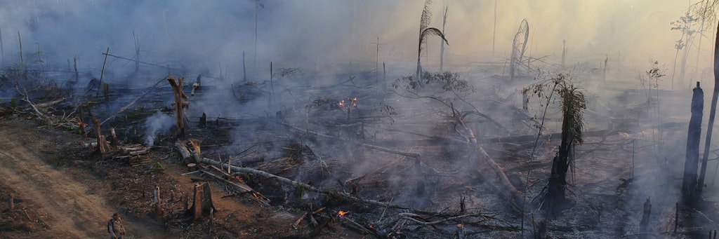 Dieses Waldstück im Amazonas-Gebiet wurde im Juli von den Flammen zerstört.