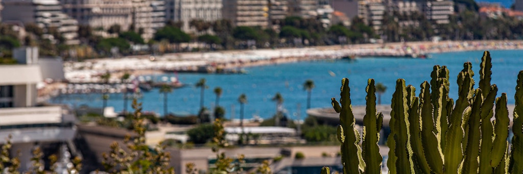 Blick auf den Hafen und die Strandpromenade in Cannes.