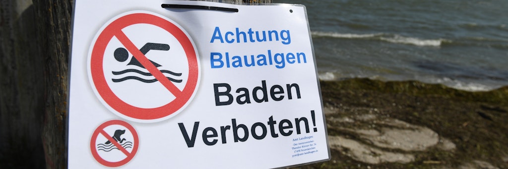 Ein Hinweisschild verbietet am Bodden bei Wampen (Landkreis Vorpommern-Greifswald) das Baden, weil sich dort Blaualgen gebildet haben.
